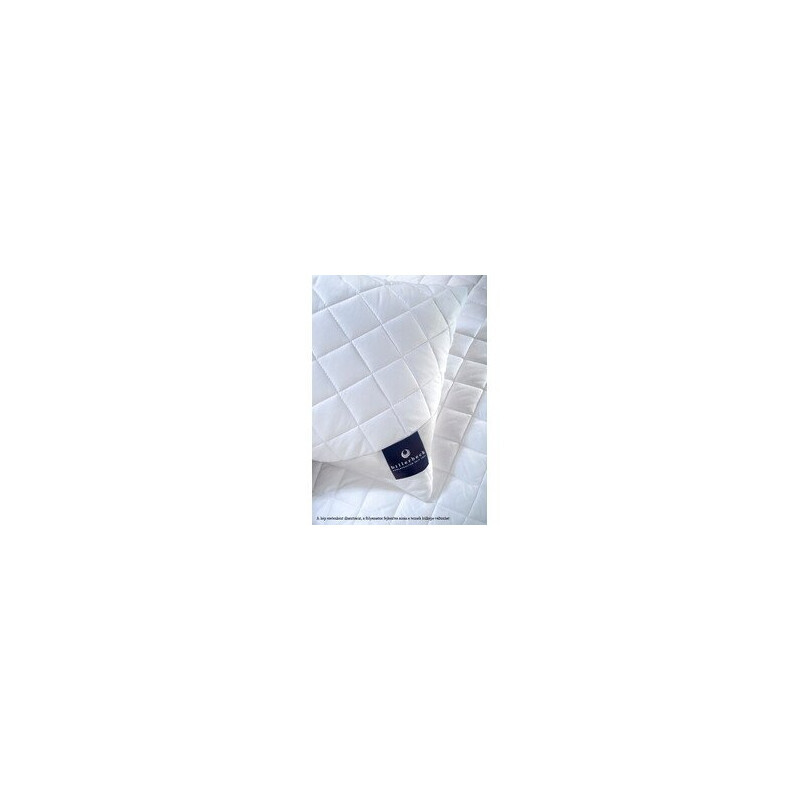 Billerbeck Mediclean parna  36x48 cm